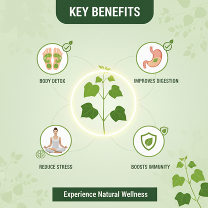 Herbal Giloy Patches 🌿✨ (Buy 1 Get 1 Free🔥🔥)