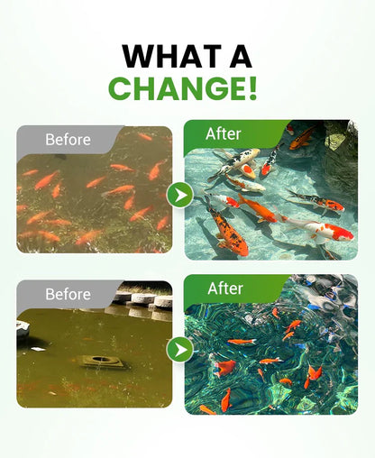 Premium Pond Care Powder | Water Clarifier & Algae Control 🐟